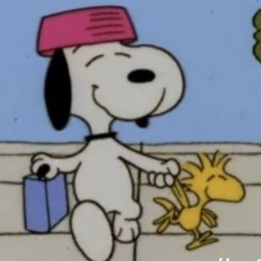 Meet your Posher, Bridgette